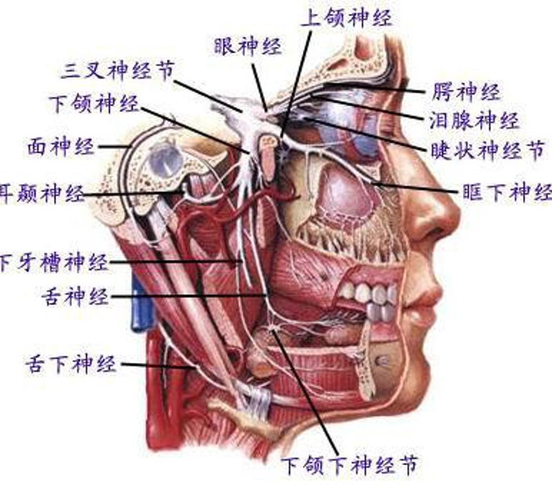 面神经挂哪个科室的号？这是一些患者可能会遇到的问题。一、常见问题及解决方法