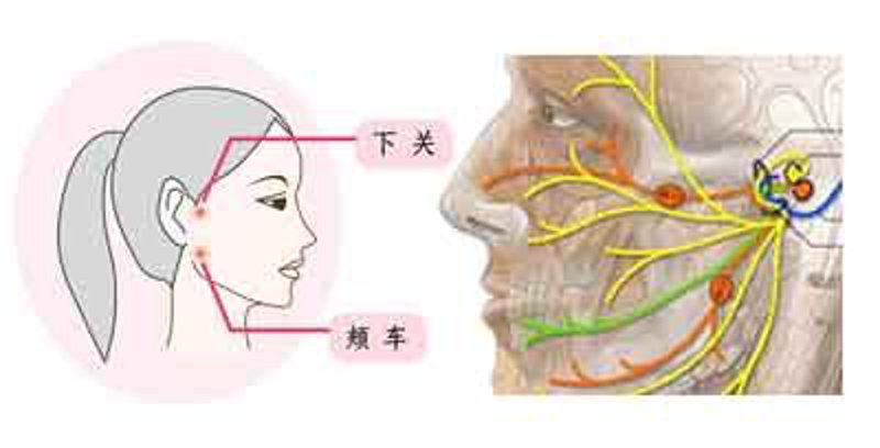 面神经炎：如何应对面部肌肉麻痹？