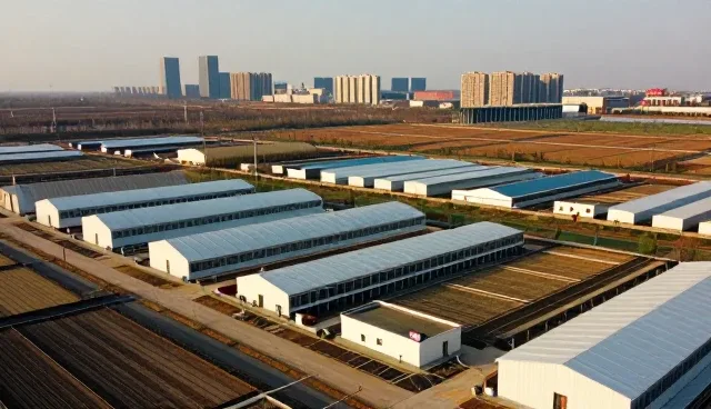 健康管理中的常见问题及应对策略